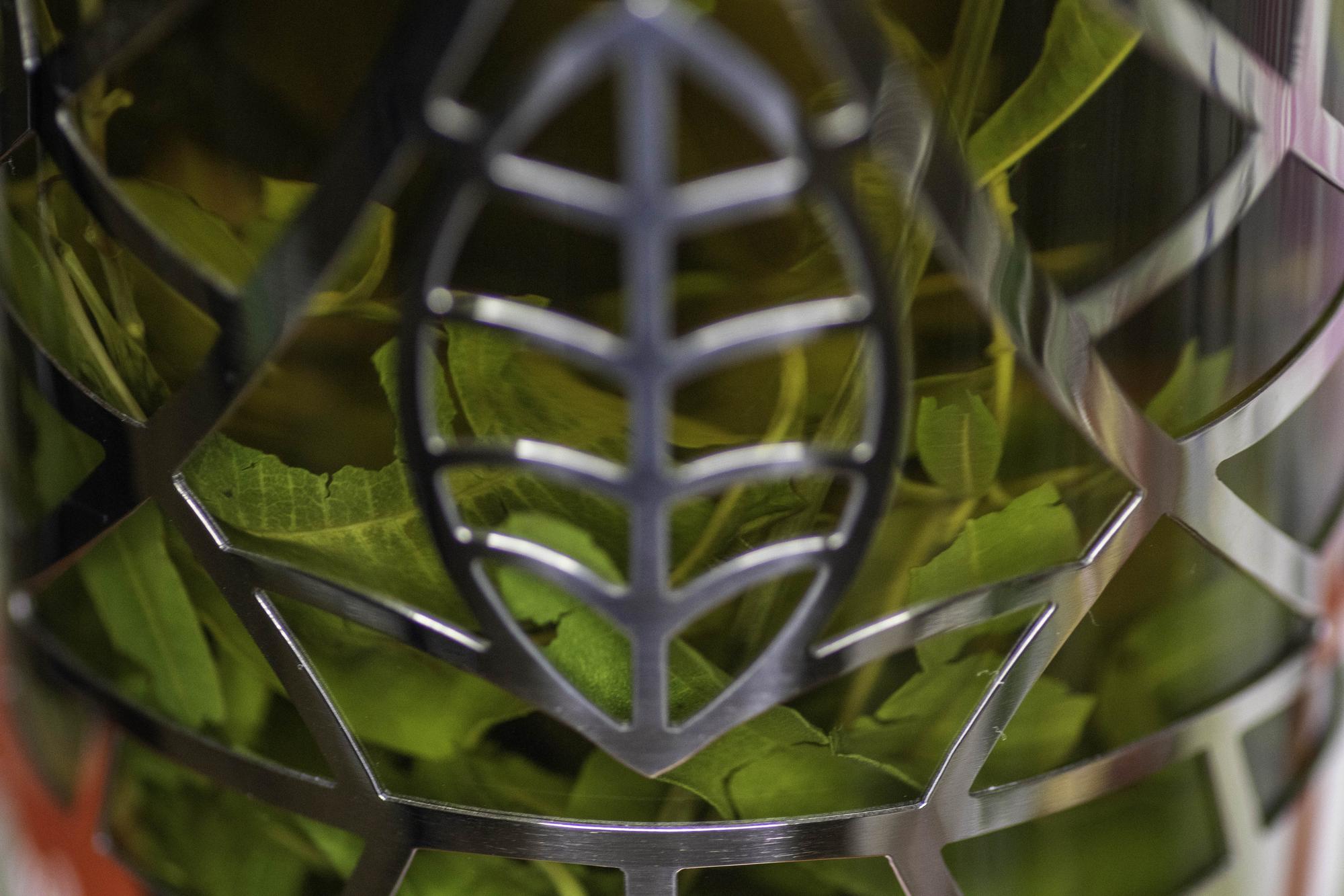 Small photo: close-up of herbs and tools
